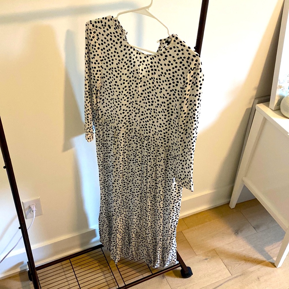 Zara Polka Dot Dress